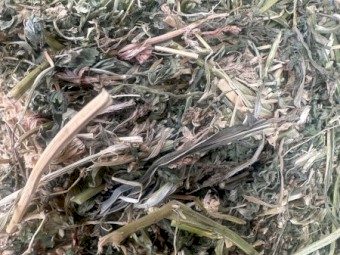 Lucerne rounds - Rhodes and Sorghum also available 