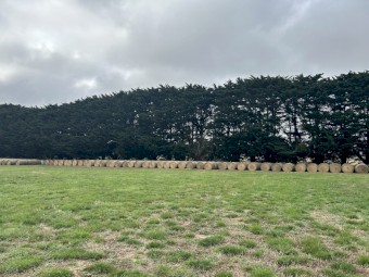 Round Bales Pasture Hay - Current 2023 Season