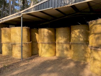100 x Pasture Hay 5x4 Round Bales
