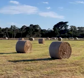 Freshly Baled Hay for Sale - 3ft