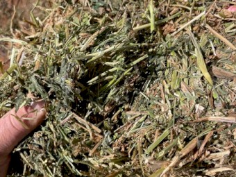 Vetch -Medic Mix 8x4x3 Bales