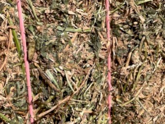 Vetch -Medic Mix 8x4x3 Bales