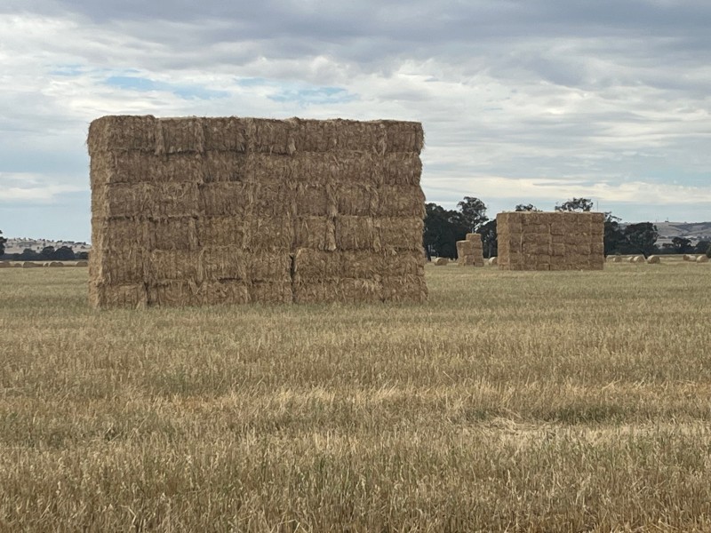 2023 Oaten Hay 8 x 4 x 3 Square Bales