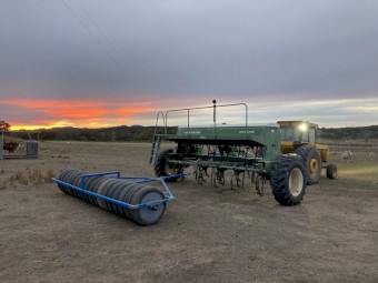 WANTED Small Seed Box