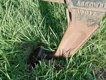 4 Tyne Paddock Plough (AGROW PLOUGH)