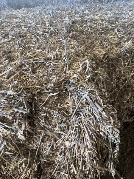 Oaten Hay 8x4x3 Bales 