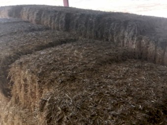 Oaten Hay 8x4x3 Bales 