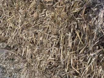 Oaten Hay 8x4x3 Bales 