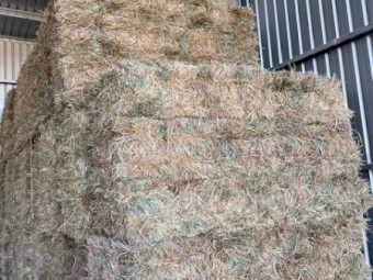 New Seasons Oaten Hay