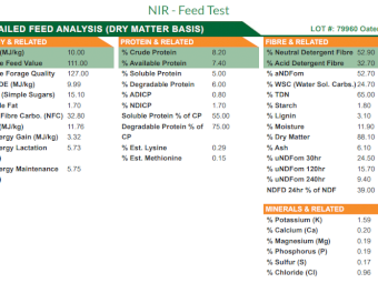 2023 Oaten Hay Rolls 5x4