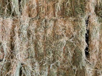 120mt Lucerne 600kg 8x4x3 Bales