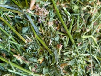 120mt Lucerne 600kg 8x4x3 Bales