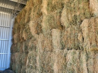 120mt Lucerne 600kg 8x4x3 Bales