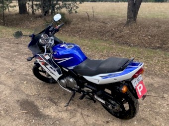 2008 Suzuki GS500F