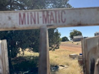 Lyco Mini Matic Wool Press