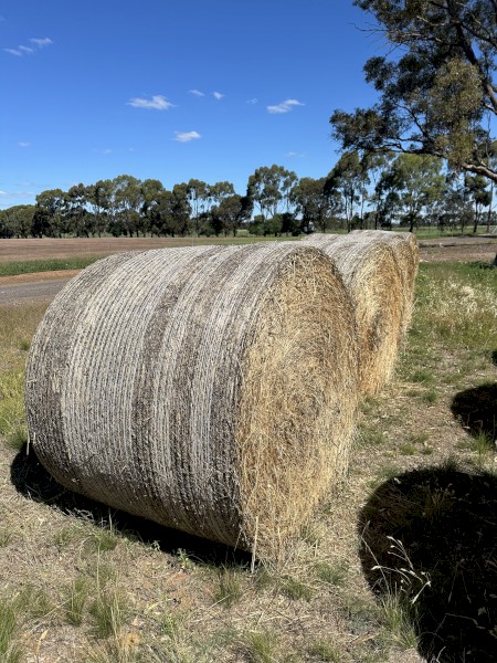Oaten Hay Bales 
