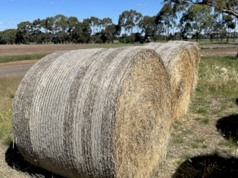 Oaten Hay Bales 