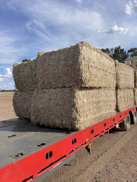 Canola Straw 8x4x3 bales