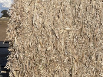 Canola Straw 8x4x3 bales