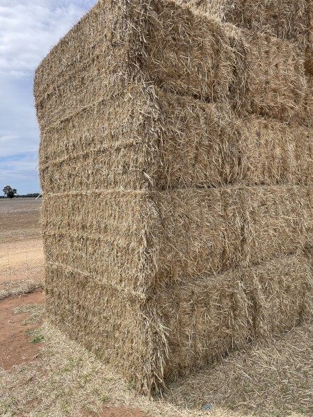 400t Wheat Straw 8x4x3 bales