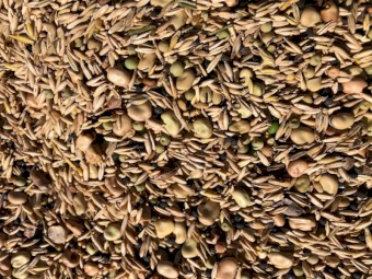 Certified Organic Grain Mix