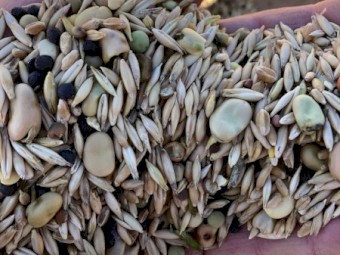 Certified Organic Grain Mix