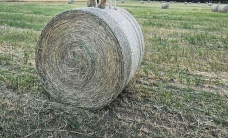 Oaten Hay - NEW SEASON 
