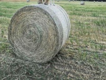 Oaten Hay - NEW SEASON 