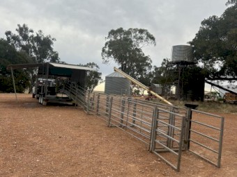 2023 Peak Hill Handler