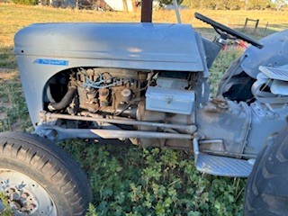 1955 Ferguson TEA 20 Grey Tractor