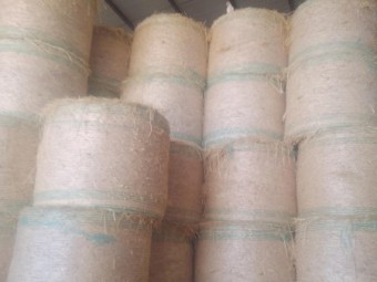 New Seasons (2023) Wheaten Hay Rolls. Clean. No Weather Damage