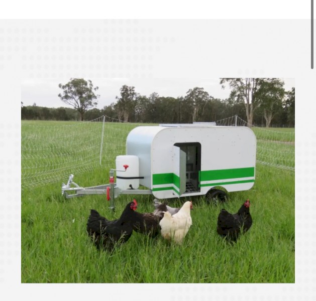 WANTED Chicken Caravan 10 or 30 