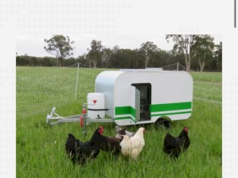 WANTED Chicken Caravan 10 or 30 