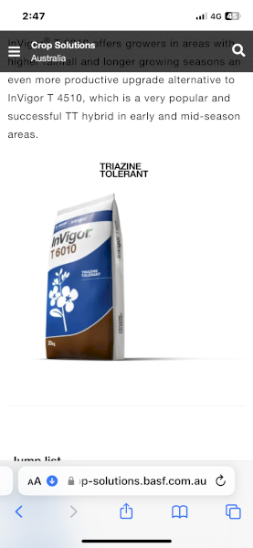 Invigor Hybrid 6010 Canola Seed