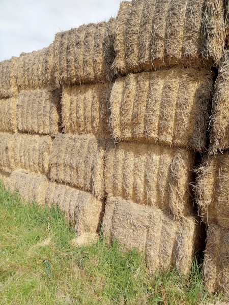 First cut,winter cleaned