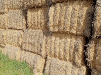 First cut,winter cleaned