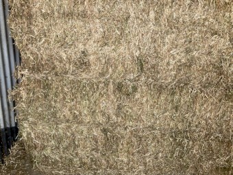 Vetch hay. 2023/24 season