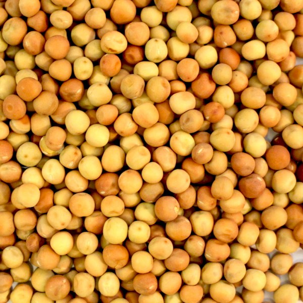 WANTED 10mt Dunn Pea Seeds