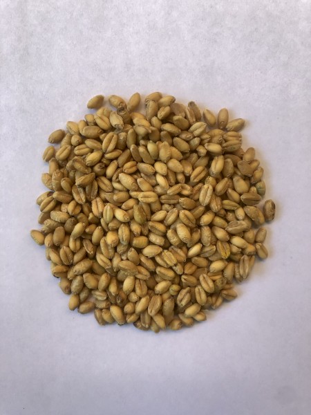 WANTED 300kg Uncoated Hulled Barley (Quantity negotiable)