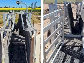 2020 Clipex Auto Sheep Handler - URGENT SALE