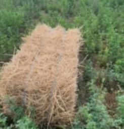 1000 x Lucerne Hay Small Squares