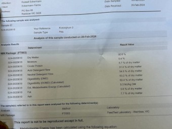 200 tn forage sorghum hay  