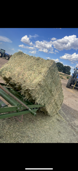 250mt Oaten Hay 8x4x3 Bales