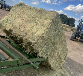 250mt Oaten Hay 8x4x3 Bales