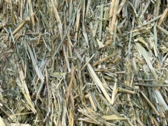 140 x Wheaten Hay 8x4x3 Bales