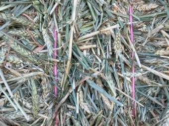 140 x Wheaten Hay 8x4x3 Bales