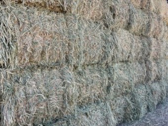 140 x Wheaten Hay 8x4x3 Bales