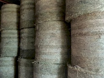 Pasture Round Bales