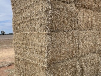 Wheaten Straw 8x4x3 Bales