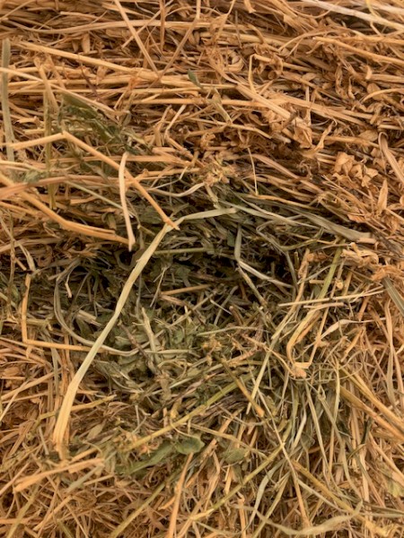 24 Bale Load Grassy Lucerne 4*4 Fertilised & Inoculated New Season Feb 2024